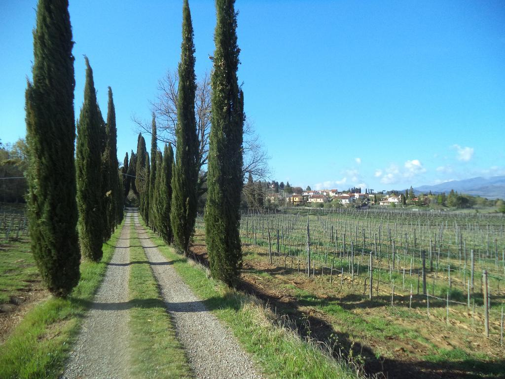 Agriturismo Albergotti Ареццо Экстерьер фото