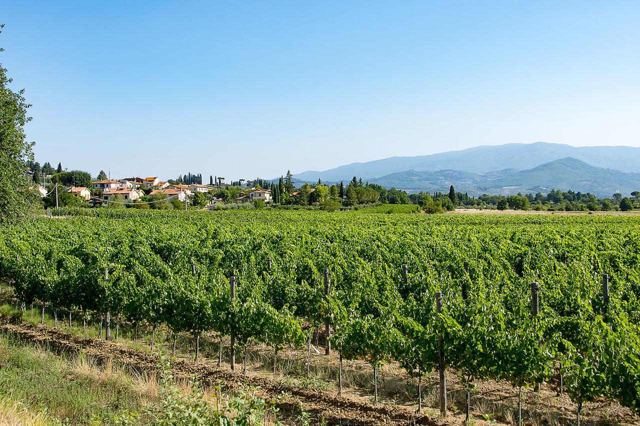 Agriturismo Albergotti Ареццо Экстерьер фото